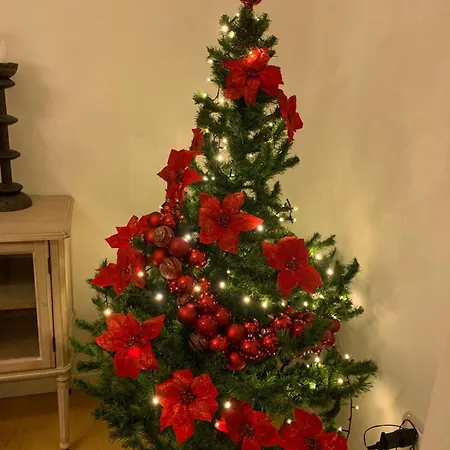 Casa Gramsci Luxury アパート ペザロ